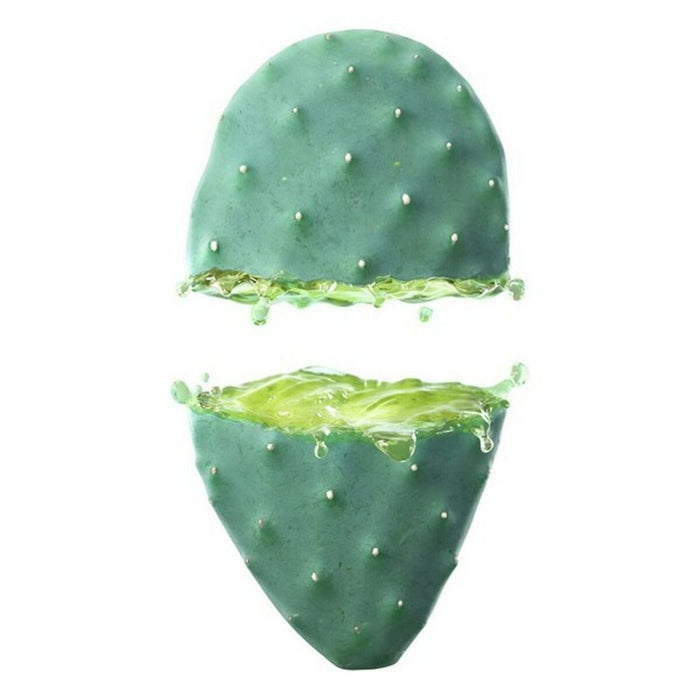 Feuchtigkeitsspendende Gesichtslotion Cactus Opuntia 24h Weleda 102079 30 ml